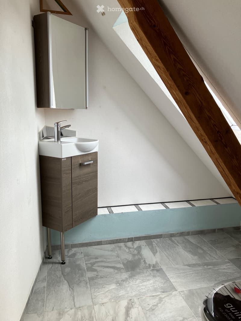 4,5 Zi- Wohnung (3)