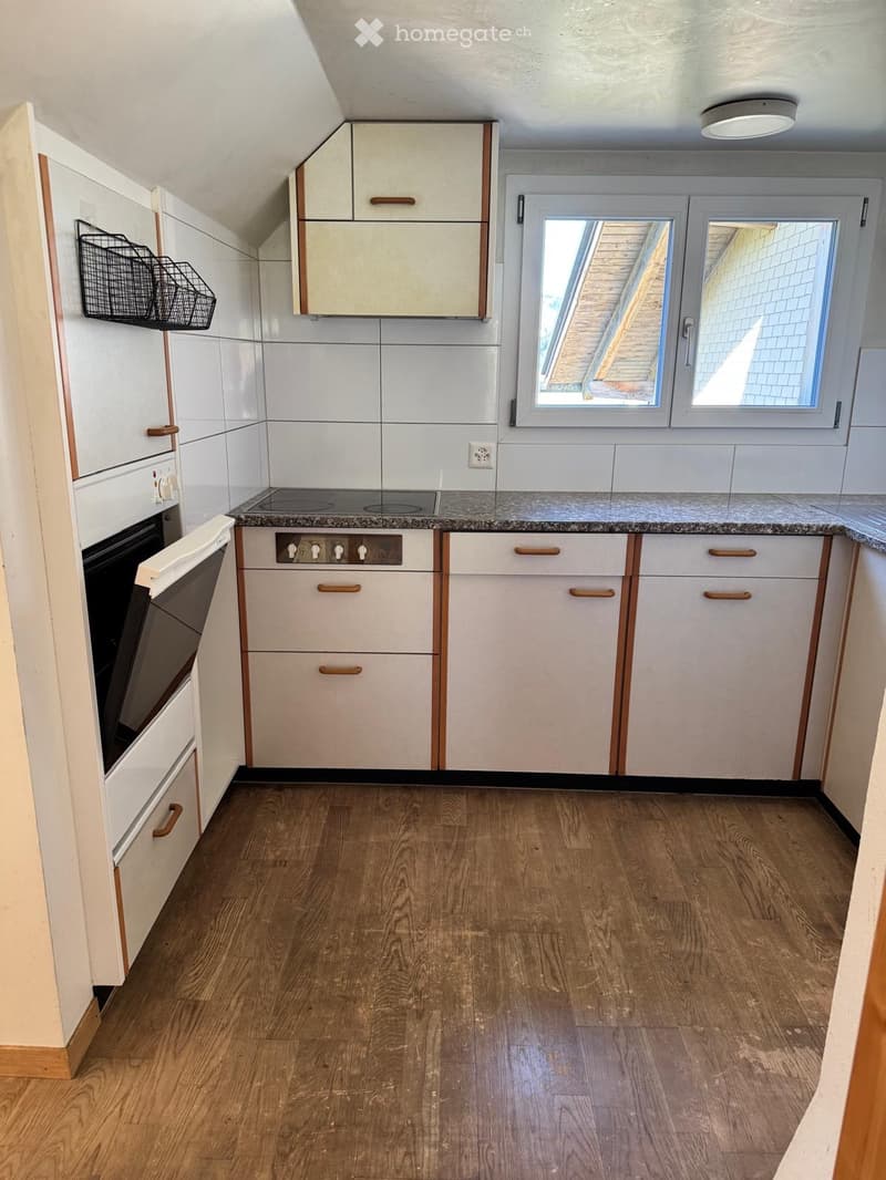 2 1/2 Zimmer Wohnung (1)