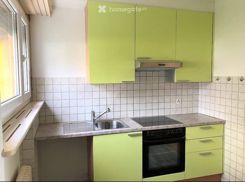 Appartamento luminoso di 3,5 locali (4)