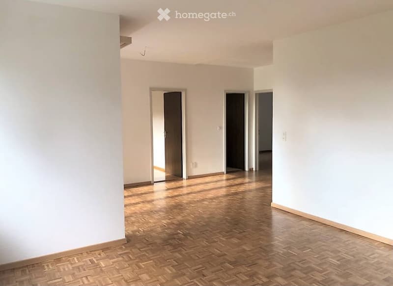 Appartamento luminoso di 3,5 locali (2)
