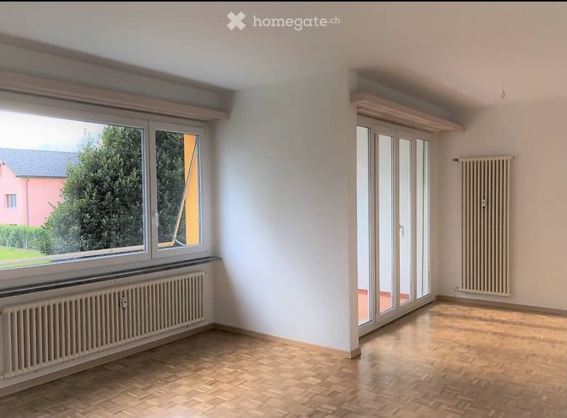 Appartamento luminoso di 3,5 locali (3)