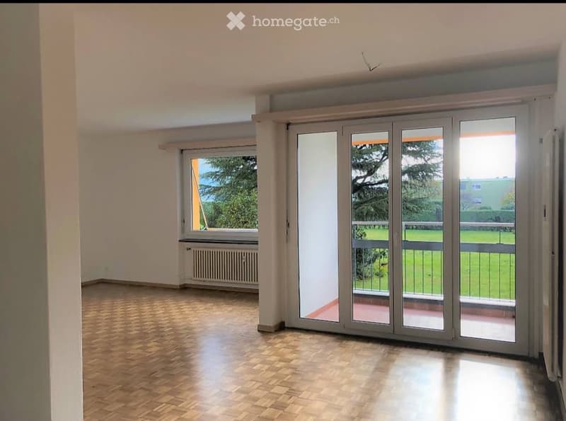 Appartamento luminoso di 3,5 locali (1)