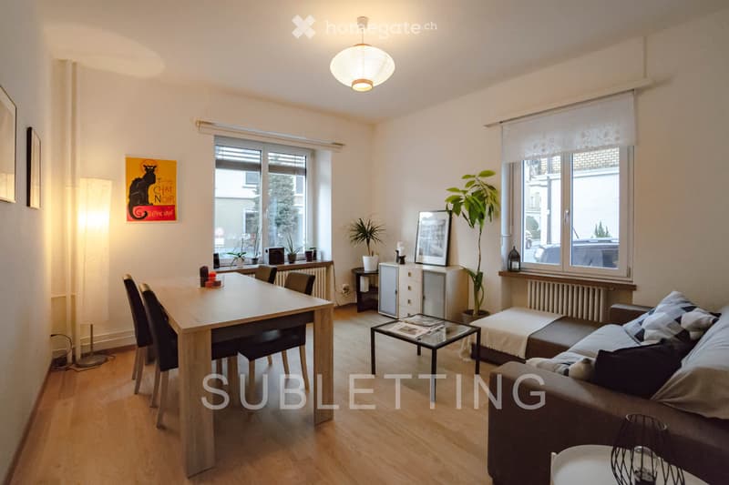Central 3-Room Apartment in Wiedikon for Sublease (1)