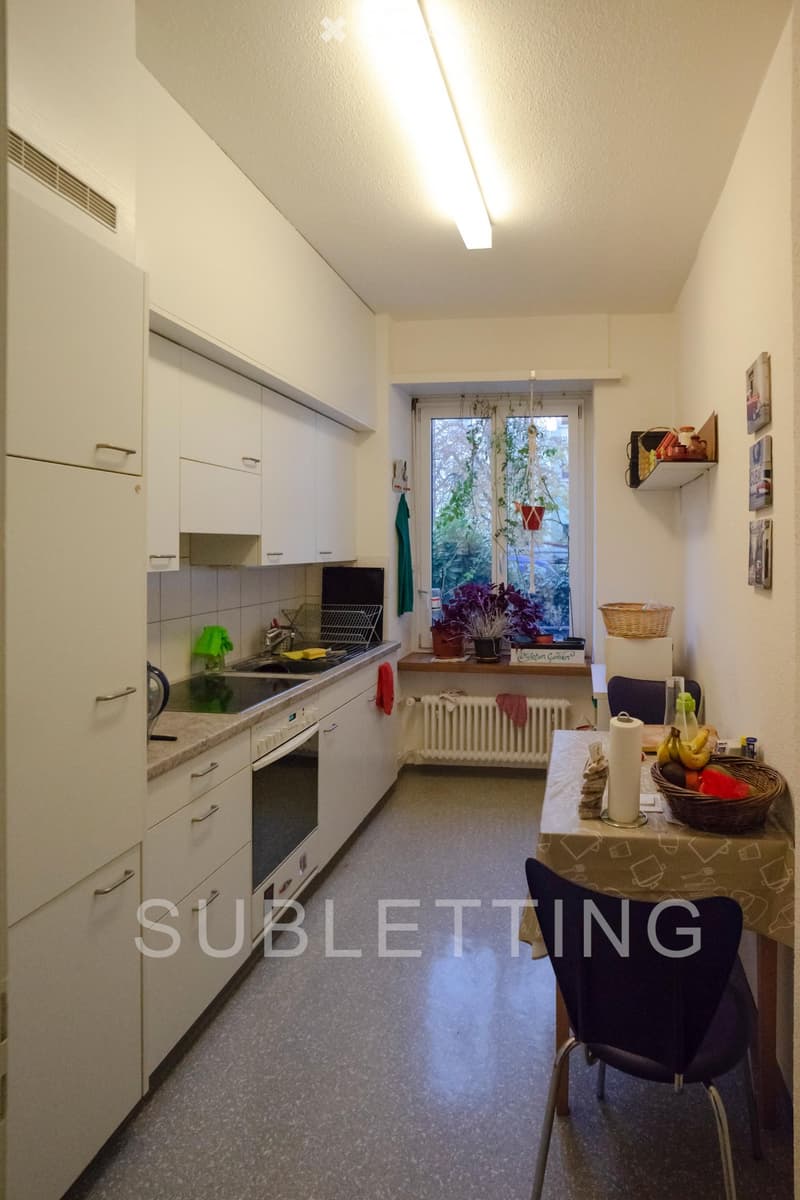 Central 3-Room Apartment in Wiedikon for Sublease (2)