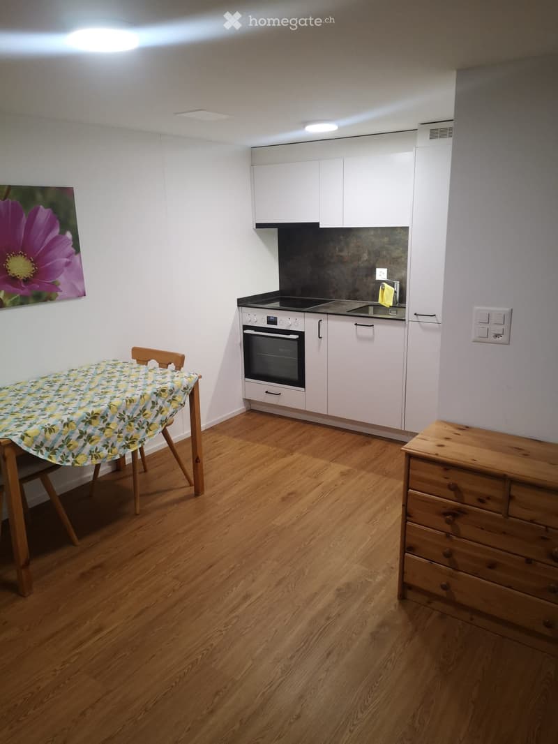 2 Zimmerwohnung im 1. Stock (3)