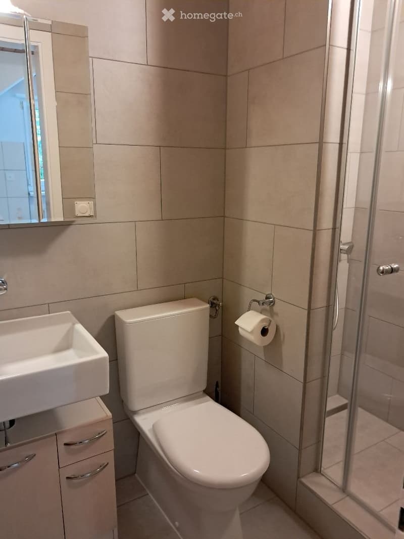 Wohnung vermieten (4)