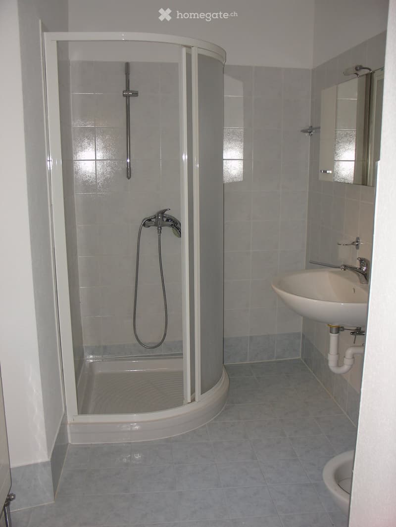 Appartamento 2 locali (4)