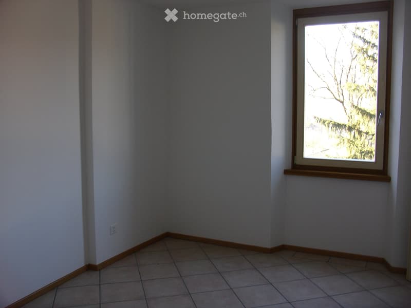 Appartamento 2 locali (2)