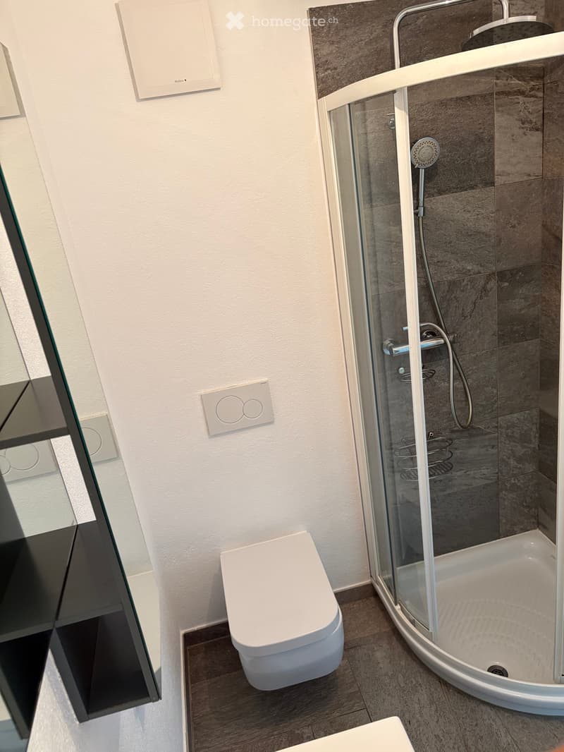 LOSONE, GRAZIOSO APPARTAMENTO 2½ - HUEBSCHE 2½ Zimmerwohnung (5)