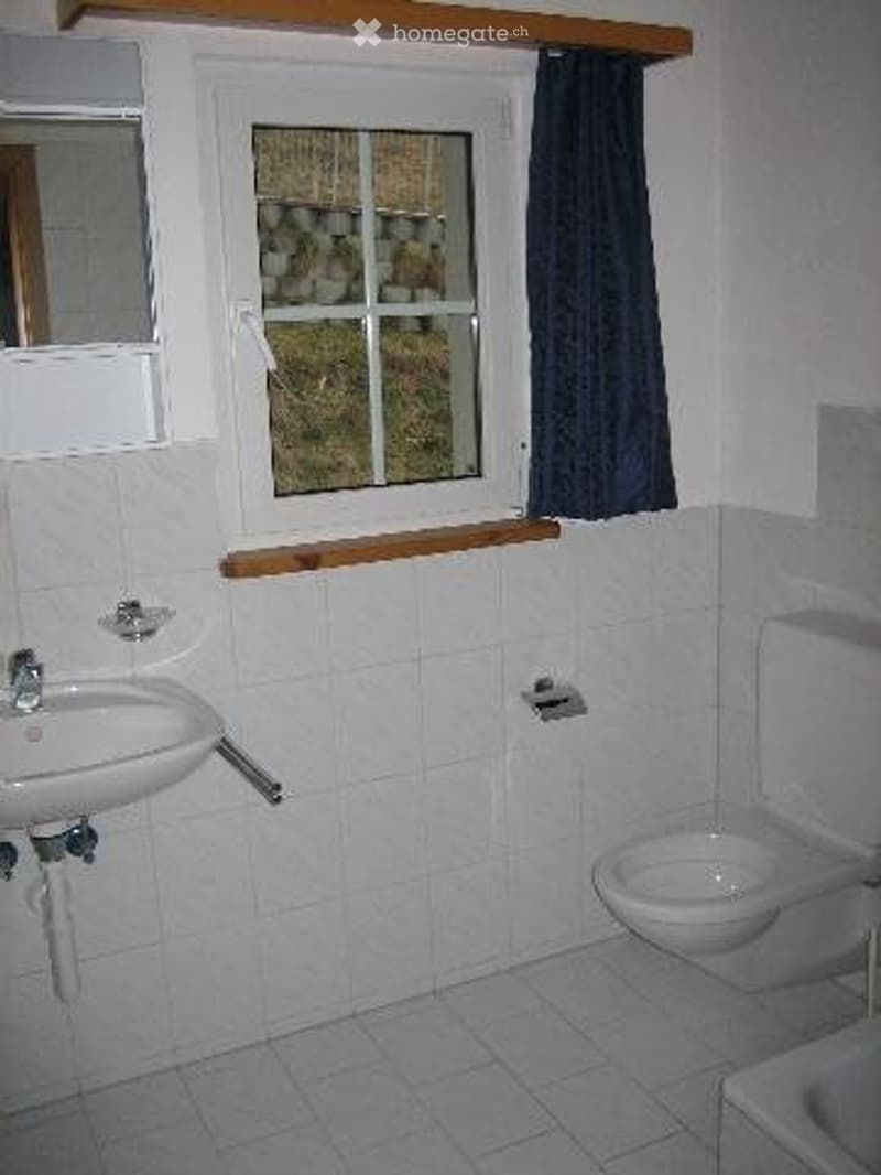 Tolle Singlewohnung (4)