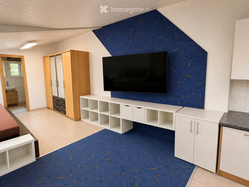 Tolle Singlewohnung (5)