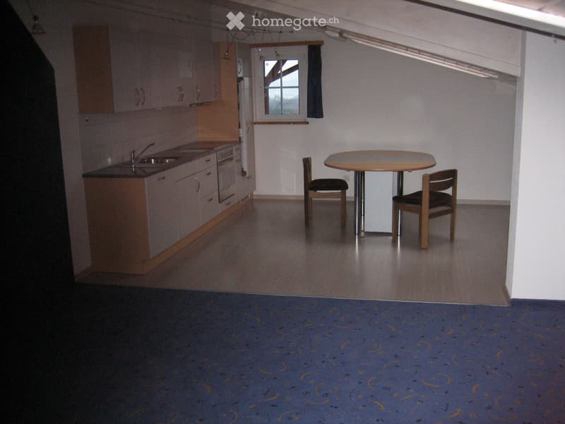 Tolle Singlewohnung (1)