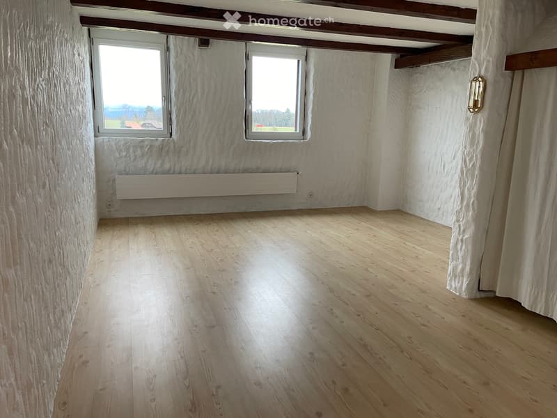 Charmante 3.5-Zimmerwohnung mit grosszügigem Grundriss (4)