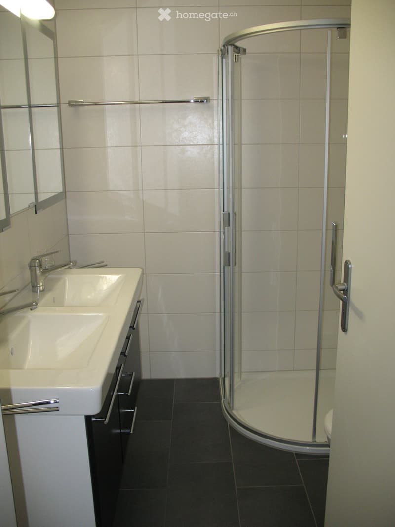 Neu renovierte 5½-Zimmer-Dachwohnung mit Galerie und Balkon (5)