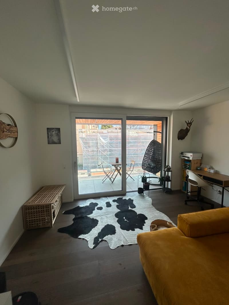 Grande appartamento 2.5 locali a Muralto (5)