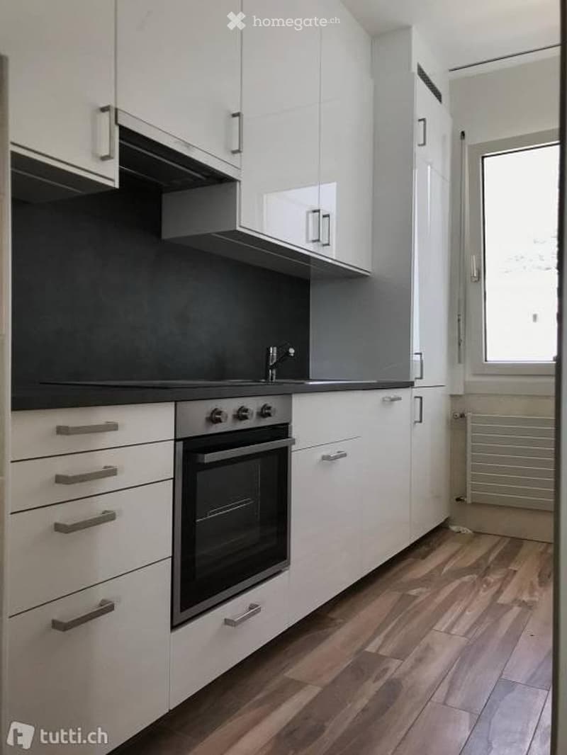 Appartamento da poco rinnovato - zona Ravecchia, Bellinzona (3)