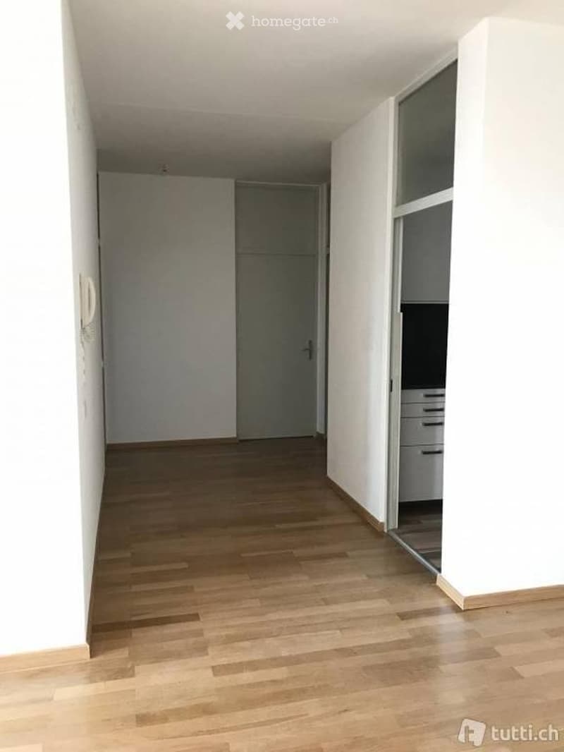 Appartamento da poco rinnovato - zona Ravecchia, Bellinzona (1)