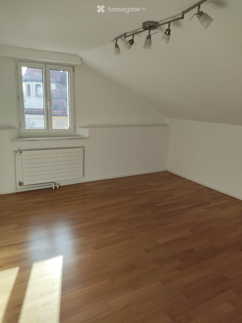 4.5-Zi-Dachwohnung mit eigenem Gartensitzplatz Rothenburg (4)