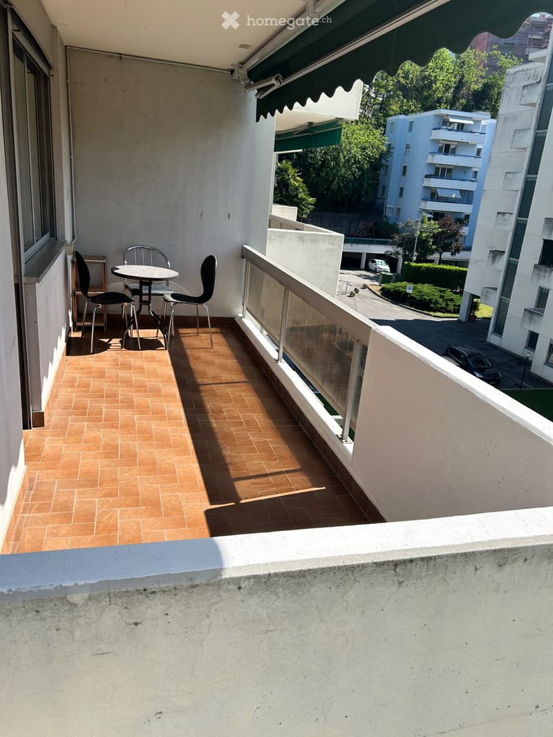 2.5 locali rinnovato con grande terrazzo e posteggio (1)