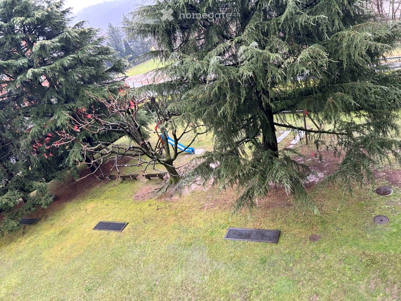 2.5 locali rinnovato con grande terrazzo e posteggio (3)