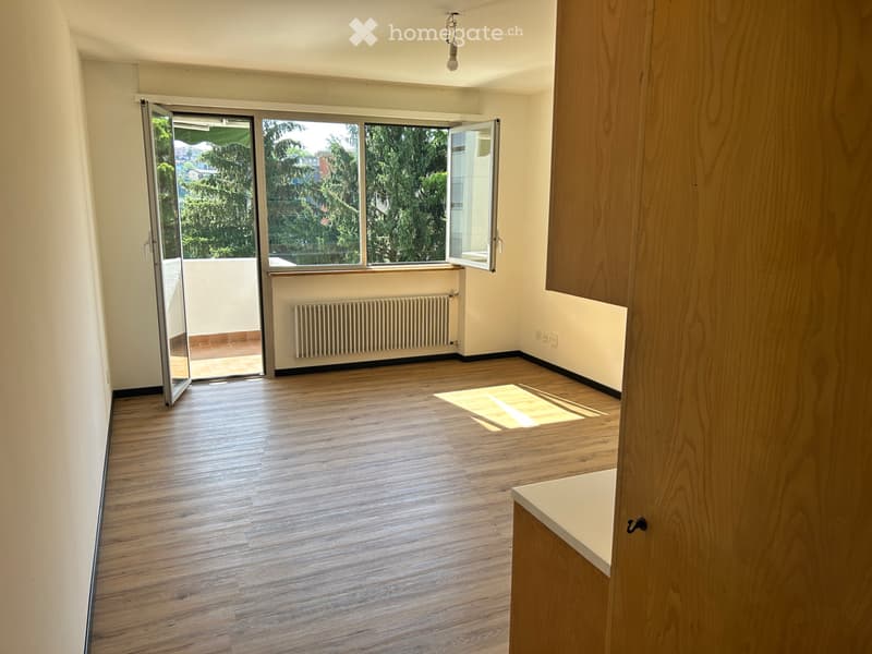 2.5 locali rinnovato con grande terrazzo e posteggio (2)