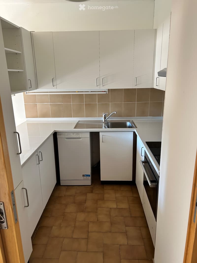 2.5 locali rinnovato con grande terrazzo e posteggio (5)