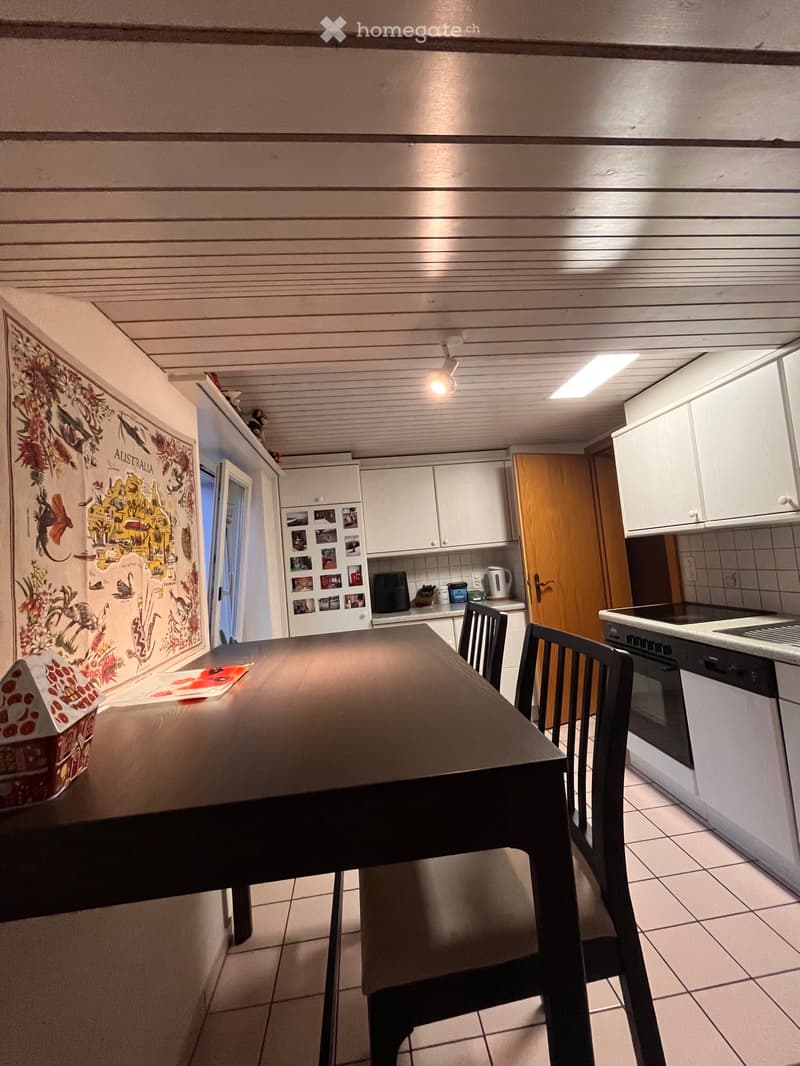 4 Zimmer Dachwohnung zu vermieten (4)