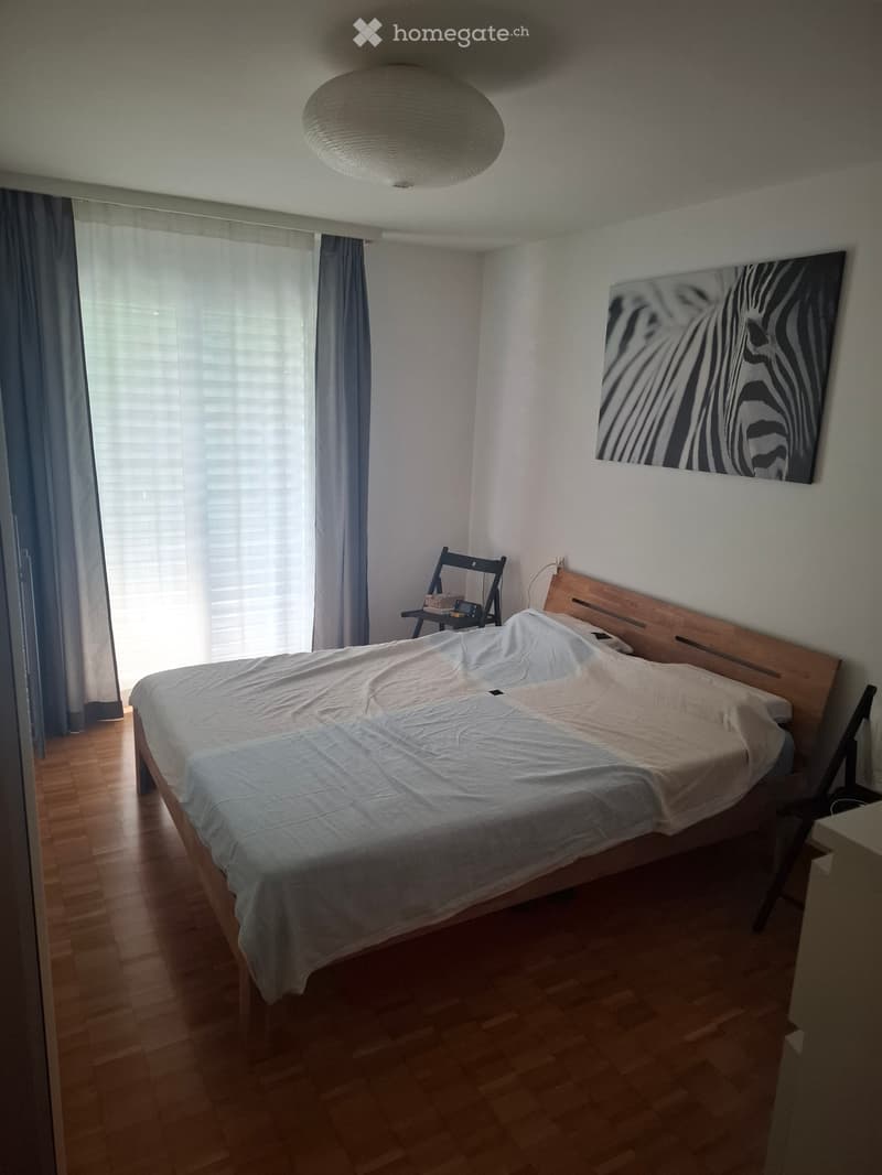 affitto appartamento 3.5 Ascona (4)