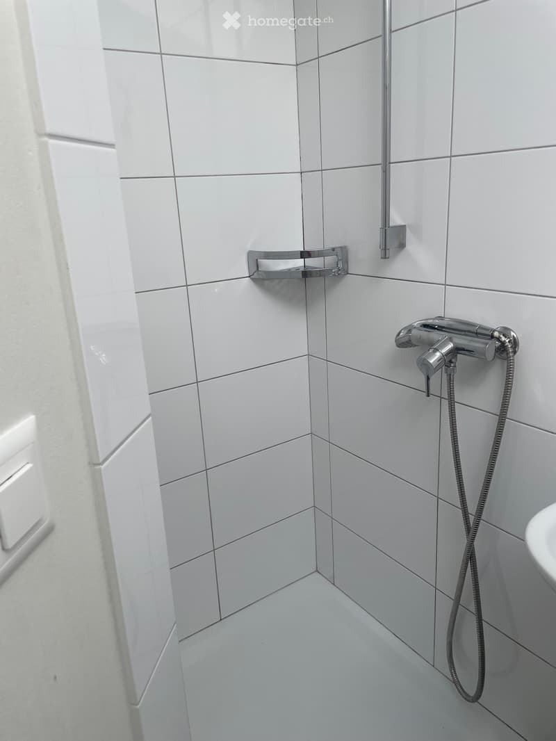Altbauwohnung (4)