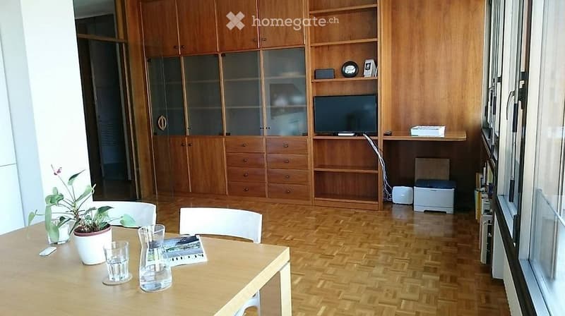Lugano. affitto appartamento arredato o no (3)
