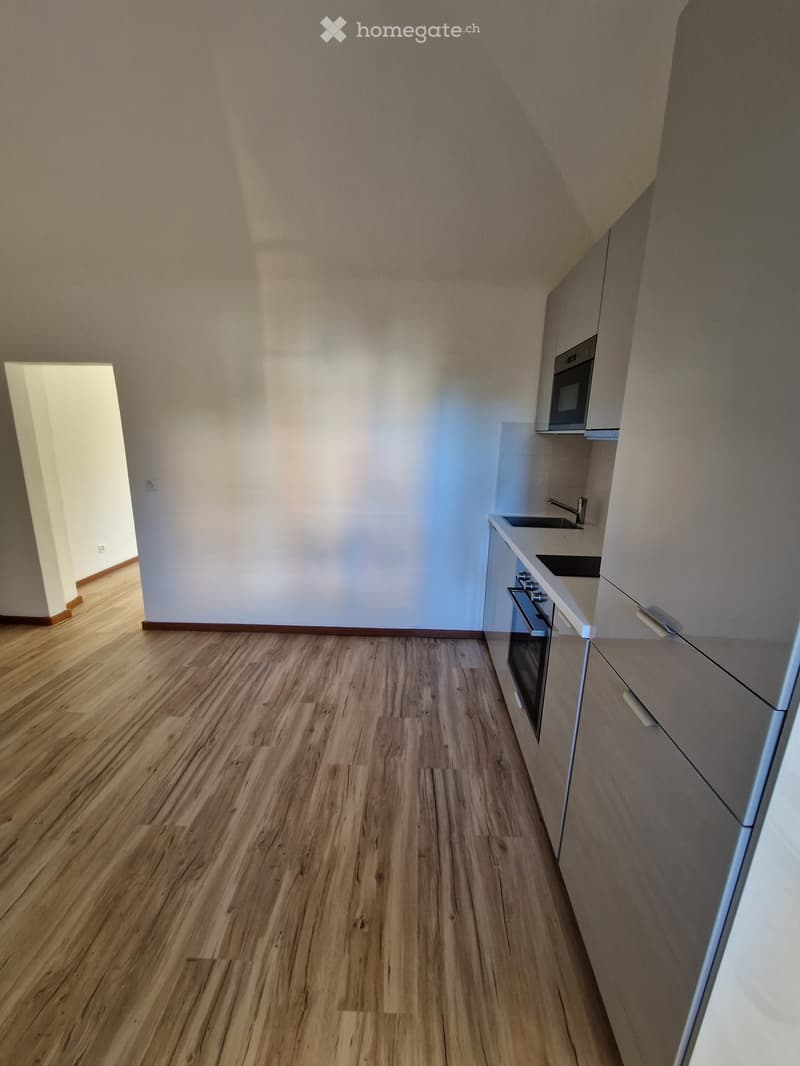 Affittasi 2 locali Ligornetto (3)