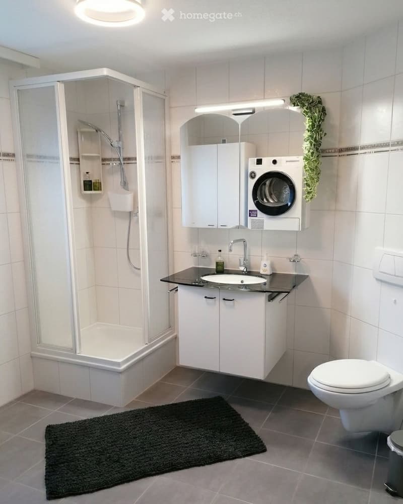 Möblierte 2.5-Zi.-Wohnung löffelfertig inkl. PP WT WiFi (2)