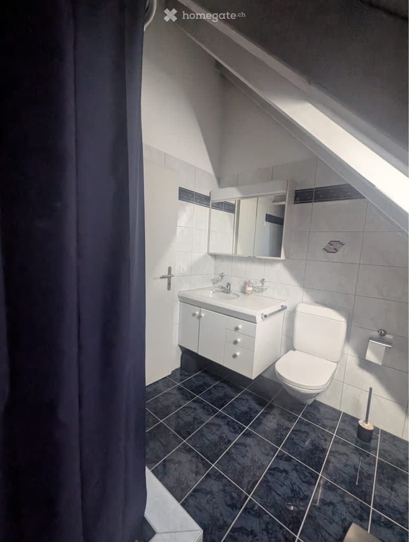 Wunderschöne 4.5 Zimmerwohnung in Aristau (4)