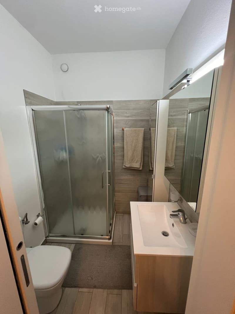 2.5 locali ristrutturati in centro Lugano/zona USI (4)
