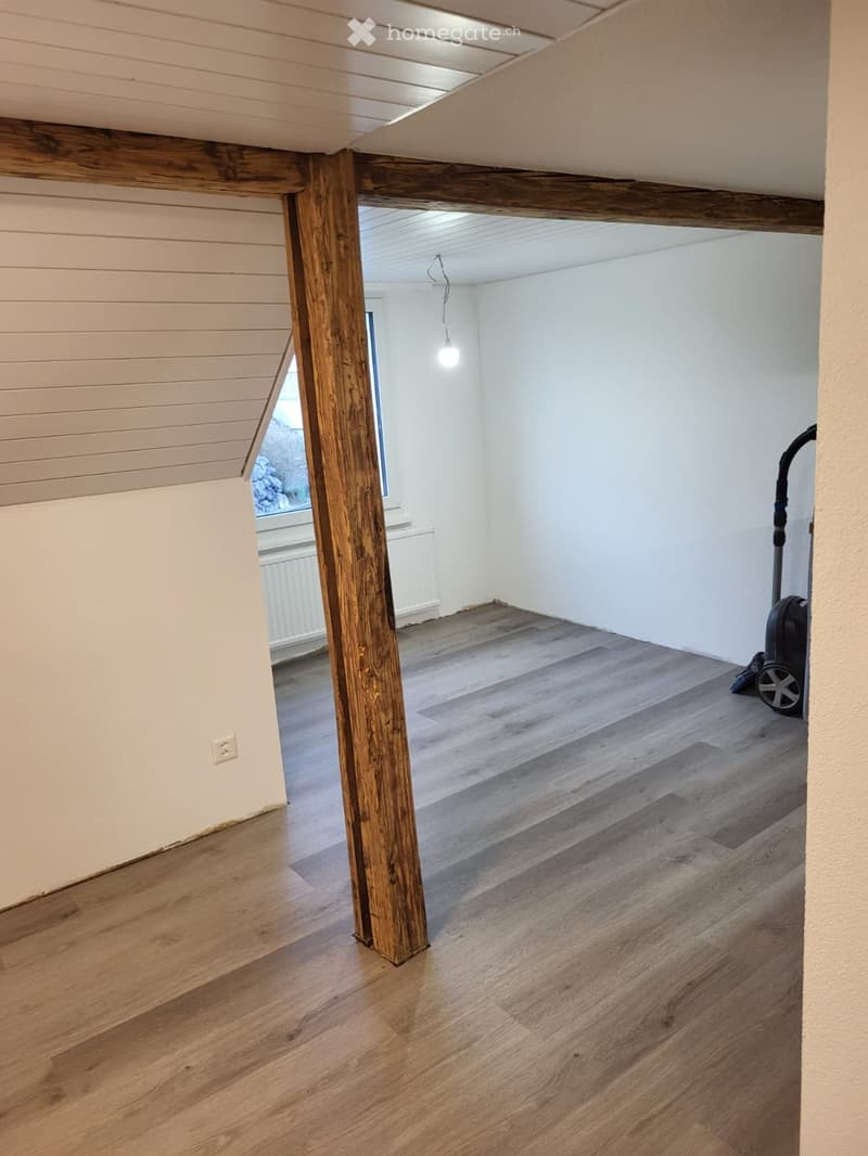 2.5 ZH-Wohnung (3)