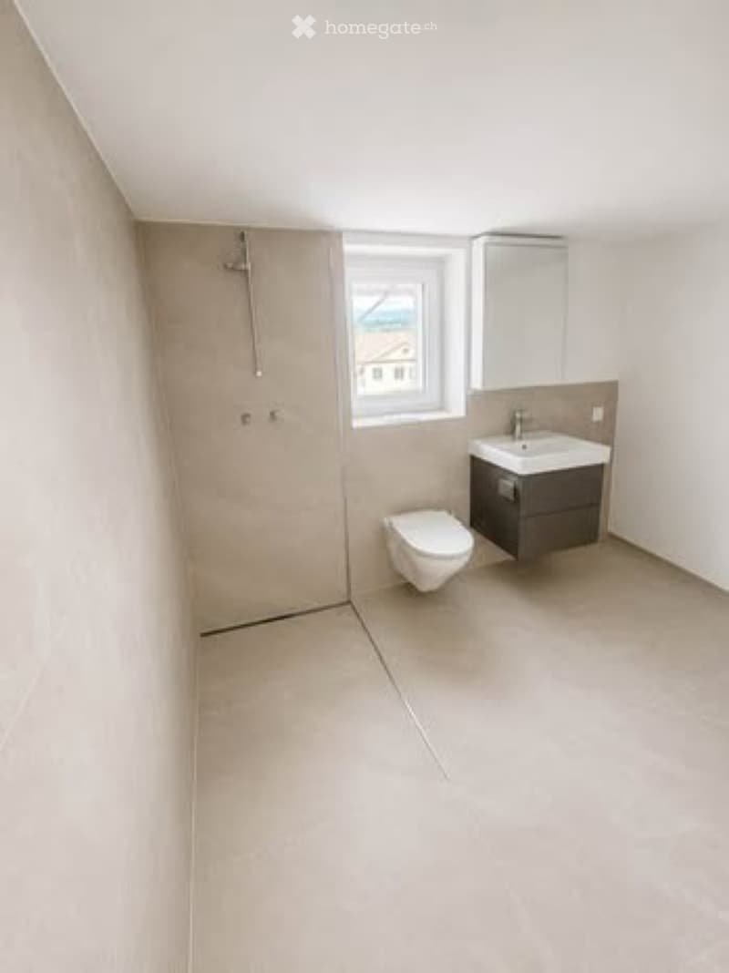 Zu vermieten 2.5 Zimmer Wohnung (3)