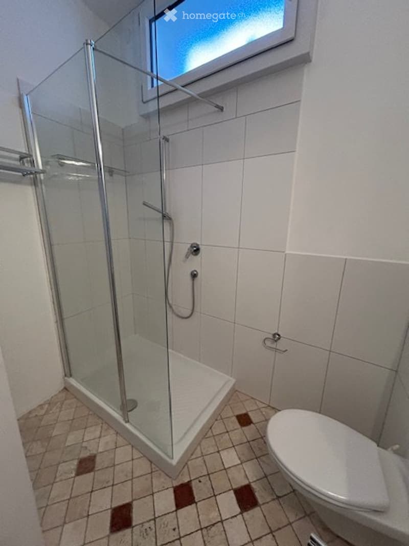 Muralto 3,5 locali rinnovato in casa storica del XVII secolo (8)