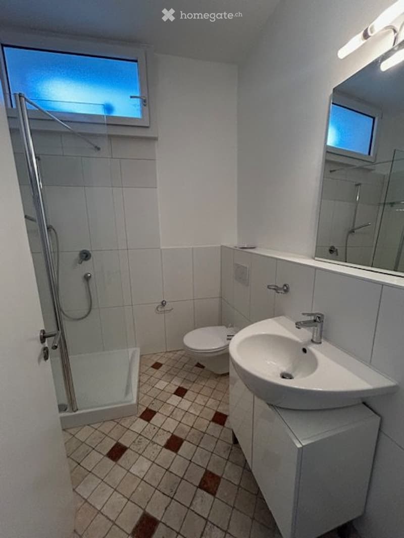 Muralto 3,5 locali rinnovato in casa storica del XVII secolo (9)