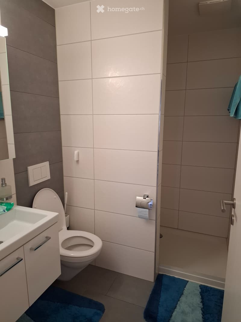 Nachmieter gesucht per 1.september (4)