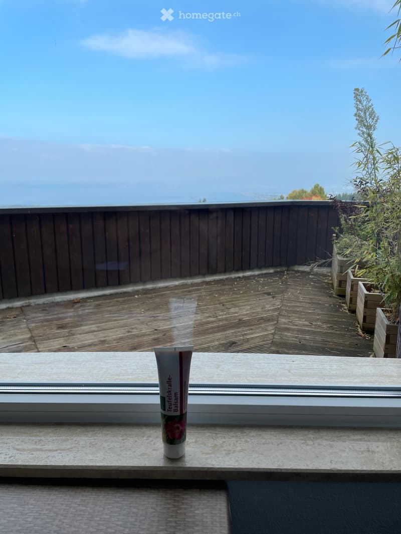 Suche NM für Studio Bodenseeblick / gr. Balkon, ab sofort (5)