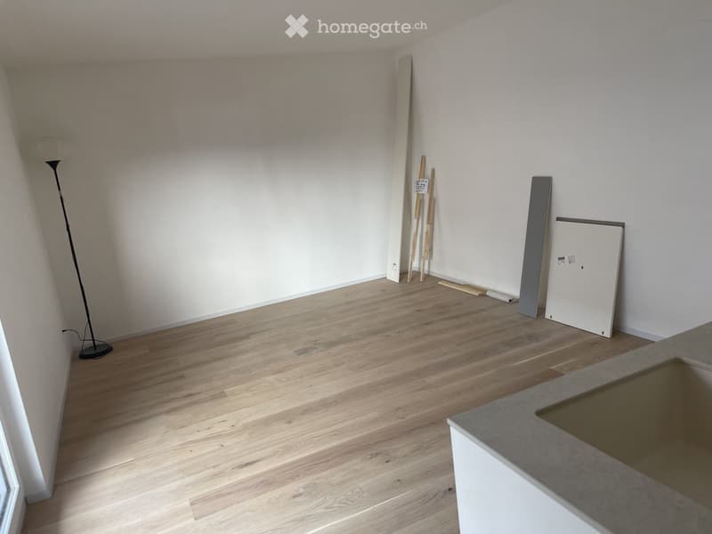 Newly Renovated, Bright Studio  Seefeld Tiefenbrunnen (3)