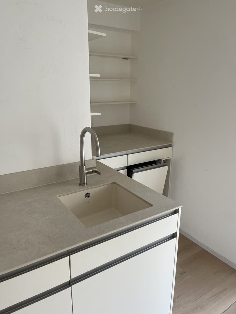 Newly Renovated, Bright Studio  Seefeld Tiefenbrunnen (2)