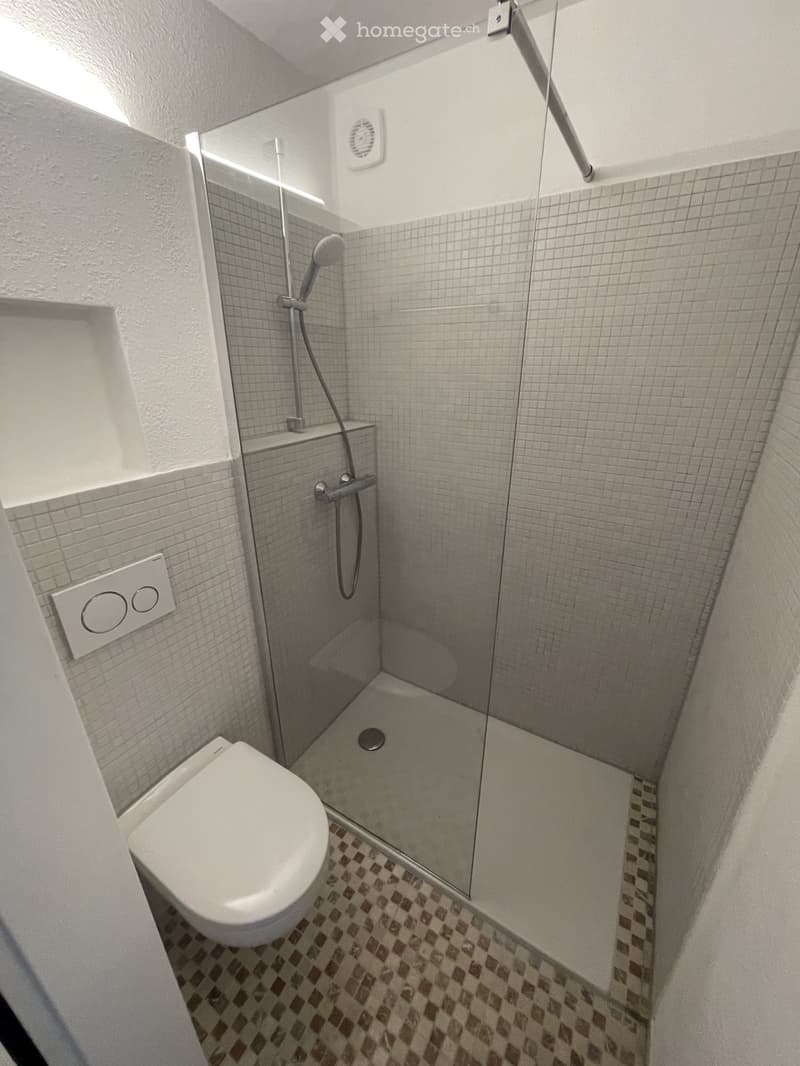 Newly Renovated, Bright Studio  Seefeld Tiefenbrunnen (4)