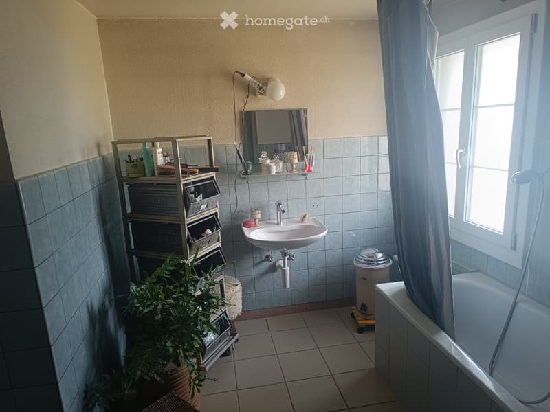 WG Zimmer zur Zwischenmiete (3)
