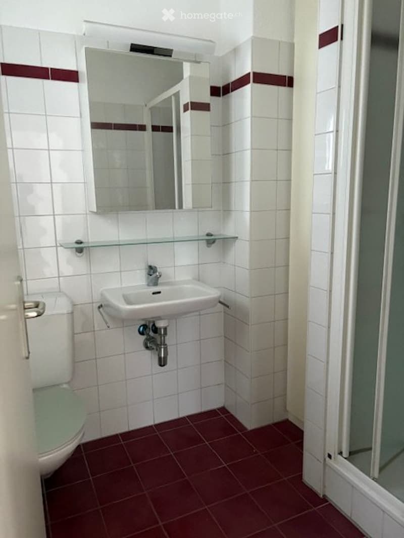 Affittasi casa a schiera (6)