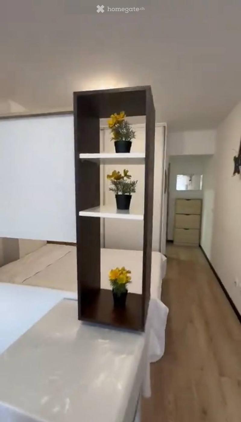 Studio meublé à louer à Genève Plainpalais / UNIGE (2)