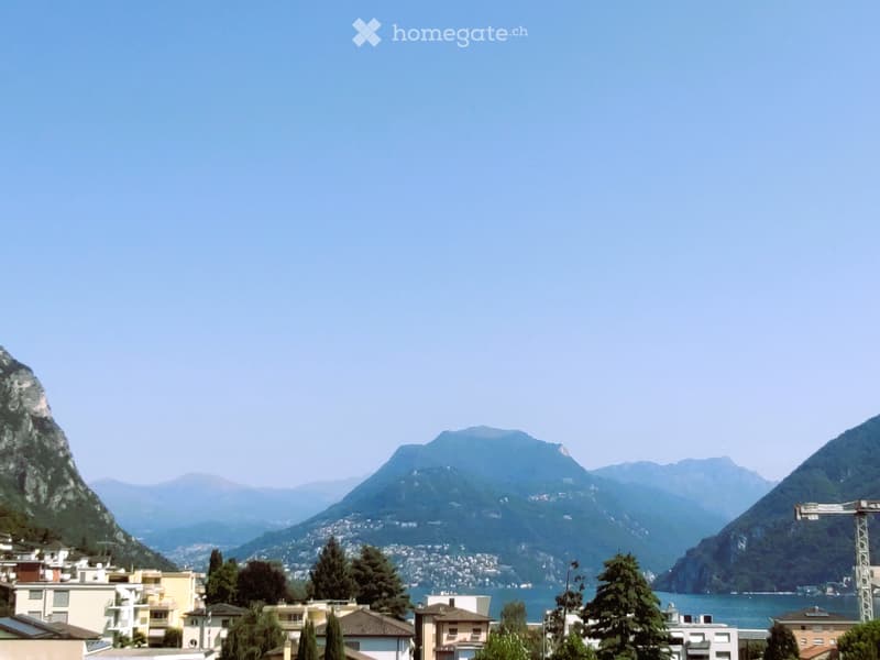 Exklusives Attikawohnung mit See und Berge Panoramablick360 (2)