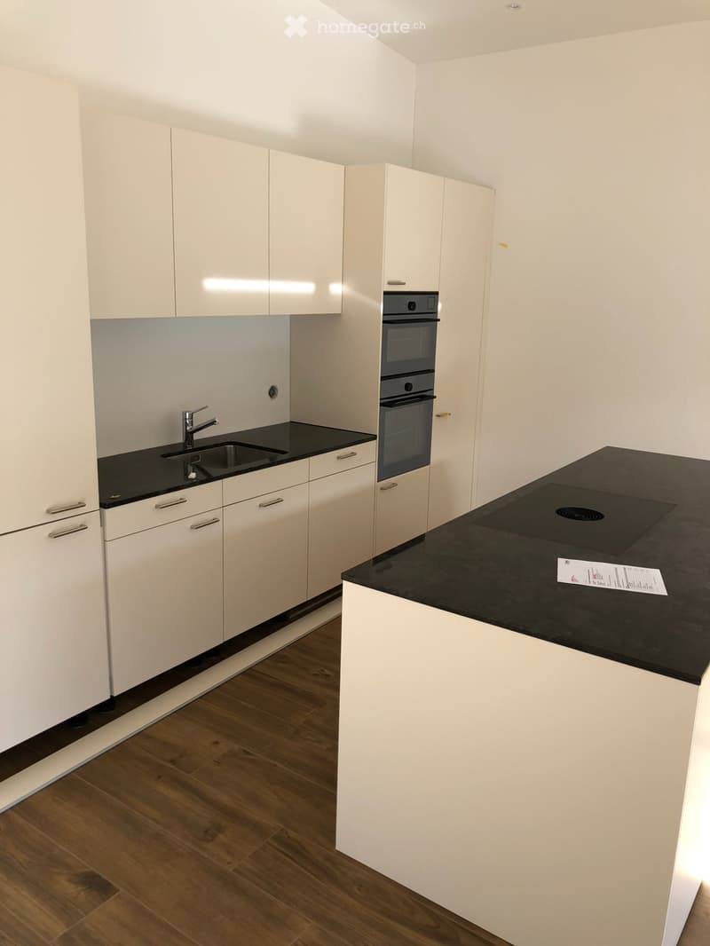 Ruhige 3 1/2-Dachwohnung, Sicht ins Grüne (1)