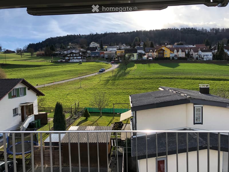 Ruhige 3 1/2-Dachwohnung, Sicht ins Grüne (3)