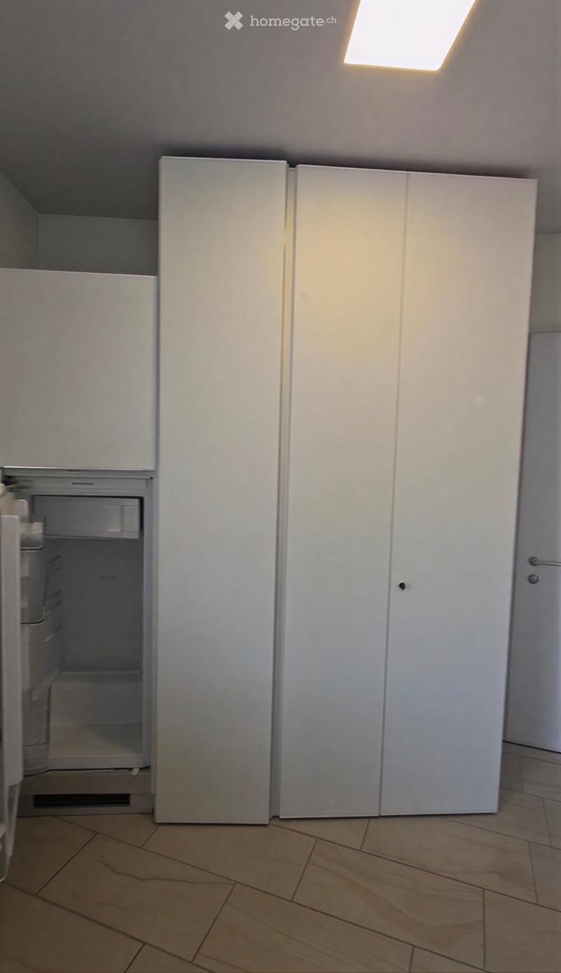 Affitare appartamento 1.5 locali a Viganello (4)
